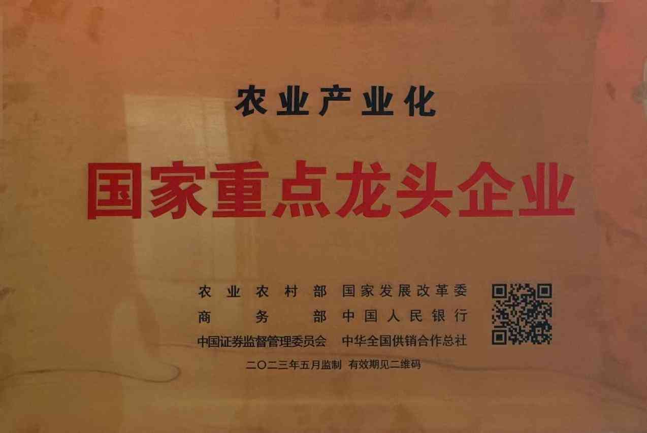 新疆利華（集團(tuán)）股份有限公司榮譽(yù)簡介